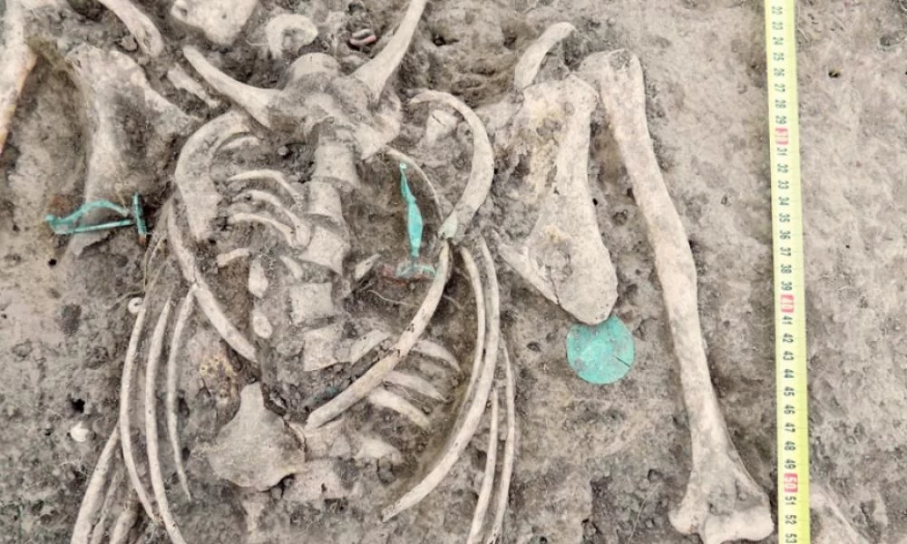 Φοβερό: Επιστήμονες βρήκαν το αρχαιότερο θύμα επίθεσης καρχαρία